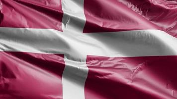 drapeau du danemark agitant lentement sur la boucle du vent. bannière du danemark se balançant doucement sur la brise. fond de remplissage complet. Boucle de 20 secondes. video