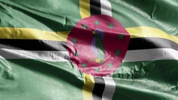 dominica textilflagga vajande på vindslingan. dominica banner vajande på vinden. tyg textilvävnad. full fyllning bakgrund. 10 sekunders loop. video