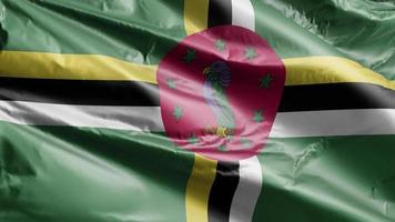 dominica flagga långsamt viftande på vindslingan. dominica banner smidigt vajande på vinden. full fyllning bakgrund. 20 sekunders loop. video