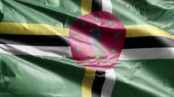 bandeira têxtil dominica acenando lentamente no loop de vento. bandeira dominica balançando suavemente na brisa. tecido tecido têxtil. fundo de preenchimento completo. Ciclo de 20 segundos. video