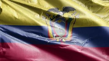 bandera textil de ecuador ondeando lentamente en el bucle de viento. estandarte ecuatoriano balanceándose suavemente con la brisa. tejido textil tejido. fondo de relleno completo. Bucle de 20 segundos. video