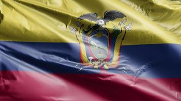 ecuador flagga långsamt viftande på vindslingan. ecuadoriansk banderoll svajar smidigt på vinden. full fyllning bakgrund. 20 sekunders loop. video