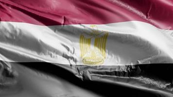 egypte vlag zwaaien op de wind-lus. Egyptische banner zwaaiend op de wind. volledige vulling achtergrond. 10 seconden lus. video