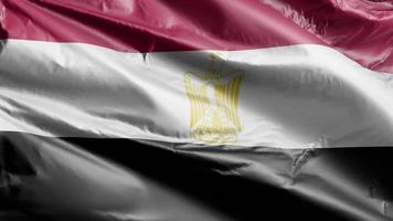 De vlag van egypte zwaait langzaam op de windlus. Egyptische banner soepel zwaaiend op de wind. volledige vulling achtergrond. 20 seconden lus. video