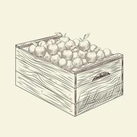 Full of fresh apple wooden crate box. Box of apples. vector