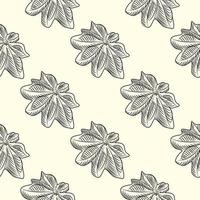 Hand drawn badian seamless pattern . Dry anise backdrop. Engraving vintage style. vector