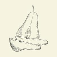 Hand drawn pear. Ripe sliced pears isolated on background. vector