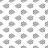 Hand drawn badian seamless pattern on white background. Dry anise backdrop. vector