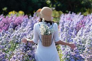 Young Woman Wearing Straw Hat and White Dress. She Carrying Flower Basket and Walking in Margaret Flower Field in Summer photo