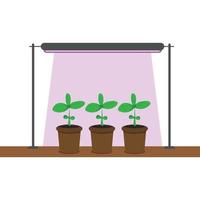 Basil Seedlings in Pots on a Windowsill under a Phytolamp vector