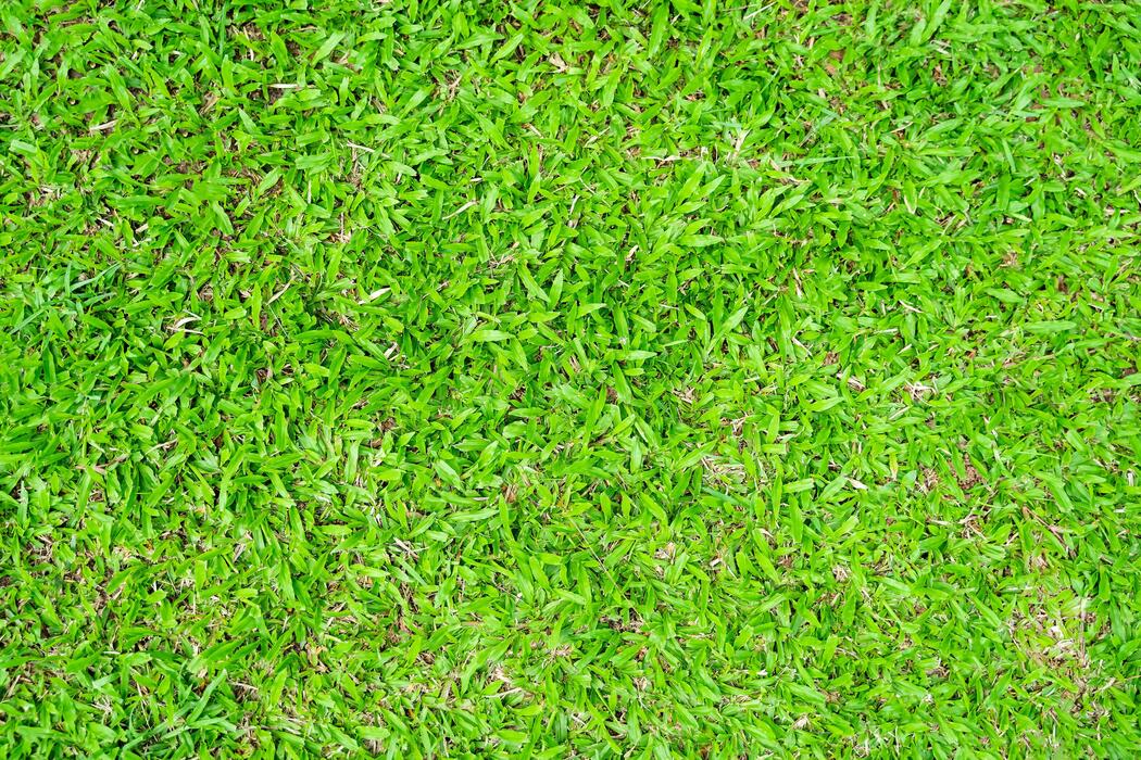 Lawn Pattern Stock Photos, Images and Backgrounds for Free Download
