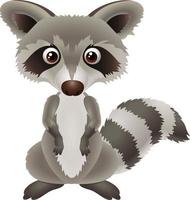 Illustration of cute cartoon raccoon vector