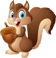 Carton squirrel holding acorn vector