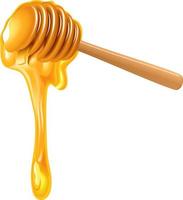 Honey dripping from wooden honey dipper vector