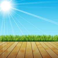 hierba verde de primavera fresca con luz solar y suelo de madera