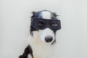 Funny portrait of cute dog border collie in superhero costume isolated on white background. Puppy wearing black super hero mask in carnival or halloween. Justice help strenght concept. photo