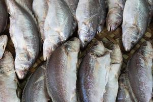 dried fish in the basket at the marketplace photo