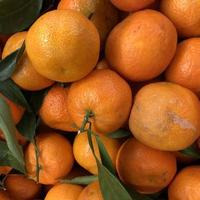 Macro photo mandarines. Stock photo citrus fruit mandarin background