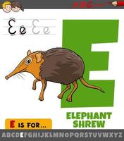 letter E from alphabet with cartoon elephant shrew animal character vector