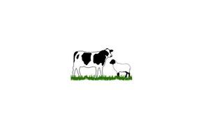 Vintage Angus Cow Bull with Sheep Lamb Goat for Cattle Livestock Farm Logo Design Vector