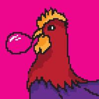 Arte de píxeles de 8 bits. pollo aislado sobre fondo blanco. icono de pájaro de granja. símbolo de gallo andante. emblema de gallo. personaje de aves de corral de juego retro. vector