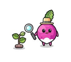 cute turnip herbalist researching a plants vector