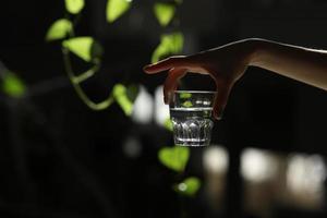 manos de mujer aisladas, sosteniendo un vaso de agua sobre un fondo oscuro con hojas verdes. los rayos del sol caen sobre el cristal. mañana saludable foto