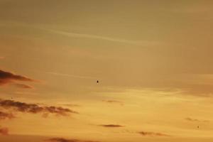 cielo antes del atardecer, pájaros en el cielo. pájaro volando mientras el atardecer y el crepúsculo antes de la lluvia cielo de fondo foto