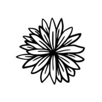 ilustración botánica. helecho, eucalipto, boj. fondo floral de época. elementos de diseño vectorial. aislado. en blanco y negro. vector