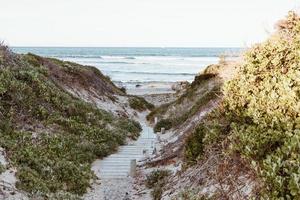 South African Beach photo