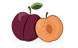 Plums on a white background. Juicy purple plum fruits. Whole and half fruit. Vector illustration