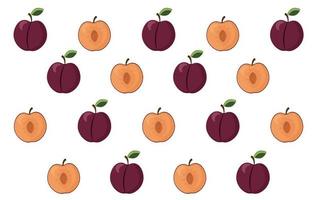 Vector illustration of plum whole and slice isolated on white background. Vector illustration