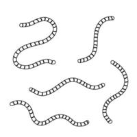 Earthworm. Insect worm set. vector