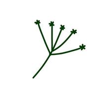 Dill in doodle style. Meadow green plant and spice. Simple natural grass vector