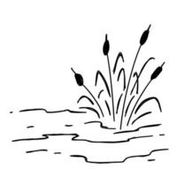 pantano de garabatos. boceto de estanque natural vector