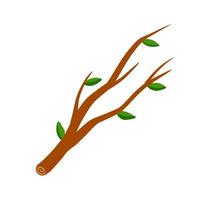 Tree branch with leaf on white background illustration. vector