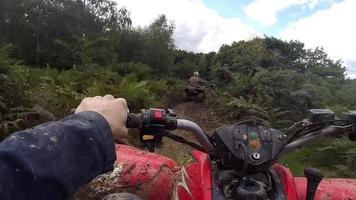 ATV Ride  through the Swamp, Forest, Dirt and the Terrain in Essex, East Anglia video