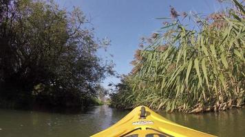 canoa em um rio de remo de aventura de pessoas gêmeas - vídeo gopro video