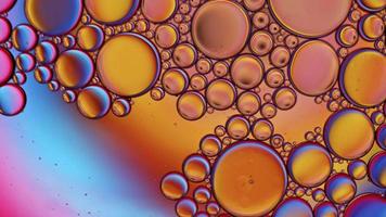 el aceite alimentario colorido abstracto cae burbujas y esferas que fluyen en la superficie del agua, videografía macro video
