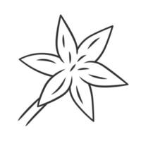 icono lineal de lirio estrella común. ilustración de línea delgada. flor silvestre en flor. flor de primavera. planta toxicocordion fremontii. flor del prado deathcamas. estrella zigadene. dibujo de contorno aislado vectorial vector