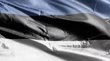 bandera textil de estonia ondeando en el bucle de viento. bandera estonia balanceándose con la brisa. tejido textil tejido. fondo de relleno completo. Bucle de 10 segundos. video