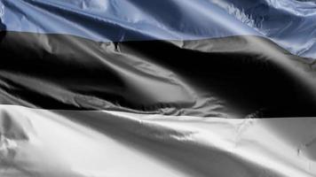 bandera de estonia ondeando lentamente en el bucle de viento. bandera estonia balanceándose suavemente con la brisa. fondo de relleno completo. Bucle de 20 segundos. video