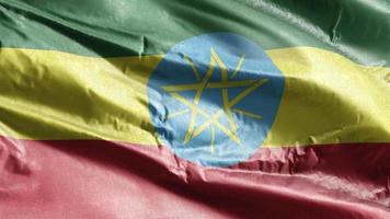 Ethiopia textile flag waving on the wind loop. Ethiopian banner swaying on the breeze. Fabric textile tissue. Full filling background. 10 seconds loop. video