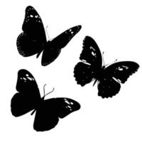 Butterflies silhouette 1 vector