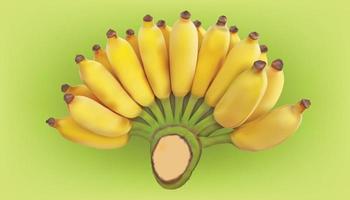 realistic one group yellow ripe banana fruit. vector illustration eps10