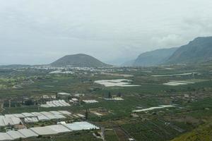 vista de los campos de hortalizas de la isla de tenerife, agricultura. foto