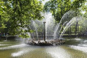 la fuente en el jardín inferior de peterhof. foto