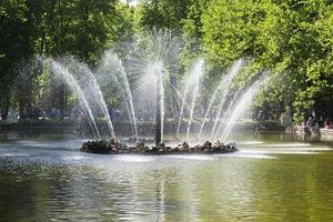 la fuente en el jardín inferior de peterhof. foto