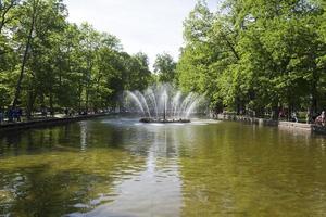 la fuente en el jardín inferior de peterhof. foto