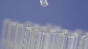 Close up of laboratory scientist working with a pipette analyzes and extract the DNA or molecules in the test tubes.on blur background with virtual interface video